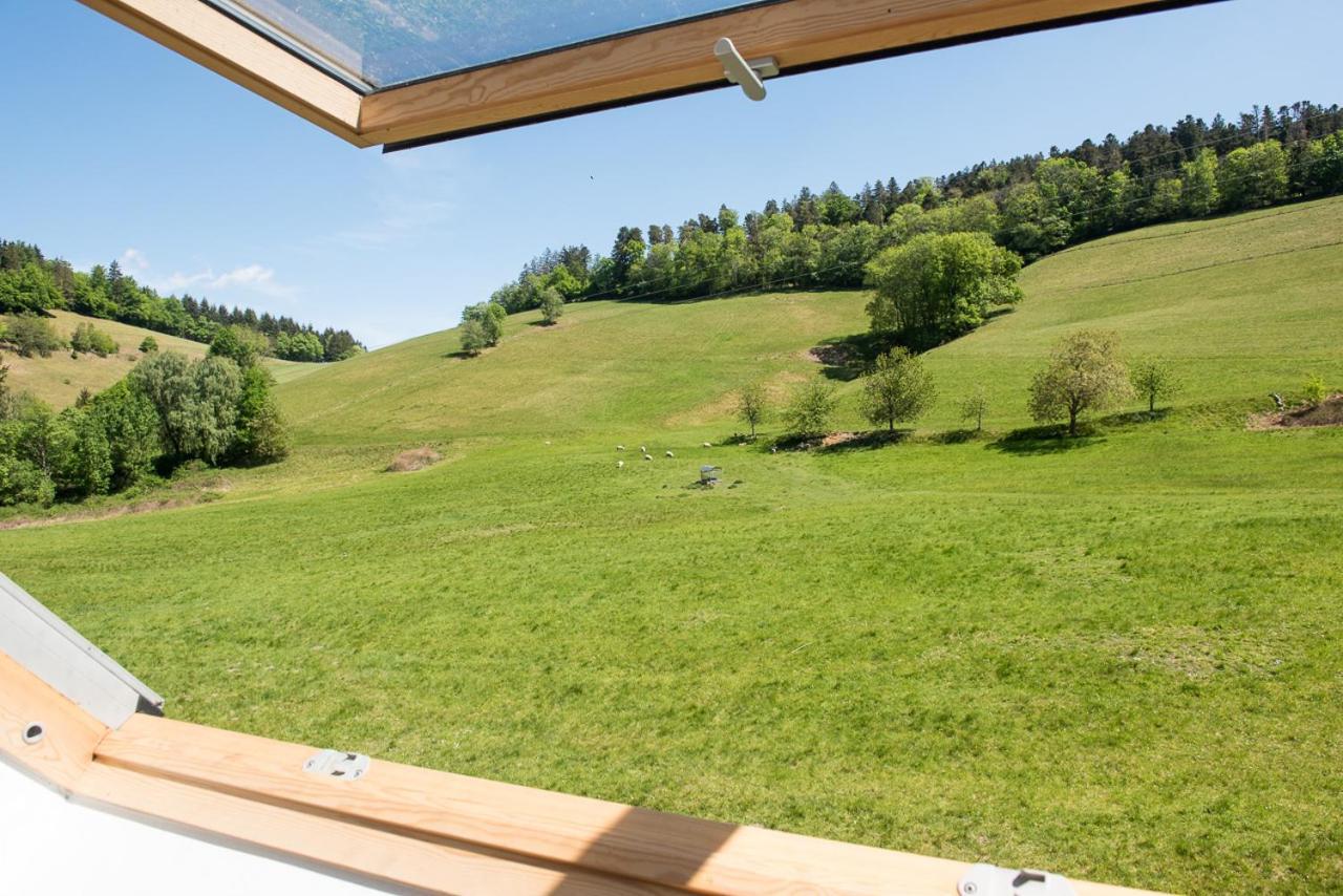 פרייבורג Ferienhaus Kappel Mit Pool מראה חיצוני תמונה